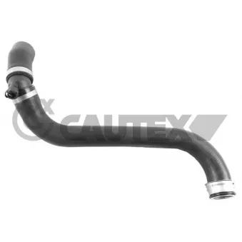 Durite de radiateur CAUTEX 765420