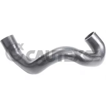 Durite de radiateur CAUTEX 765519