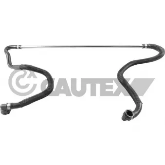 Durite de radiateur CAUTEX 765526
