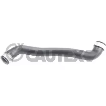 Durite de radiateur CAUTEX 765552
