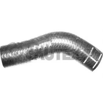 Durite de radiateur CAUTEX 765586