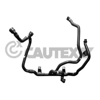 Durite de radiateur CAUTEX 765634