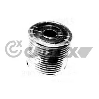 Durite de radiateur CAUTEX 766454