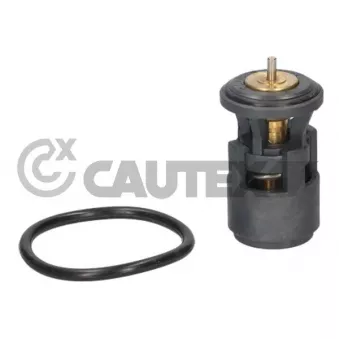 Thermostat, liquide de refroidissement CAUTEX 766541