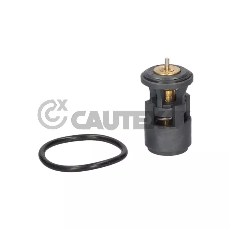 Thermostat, liquide de refroidissement CAUTEX 766541