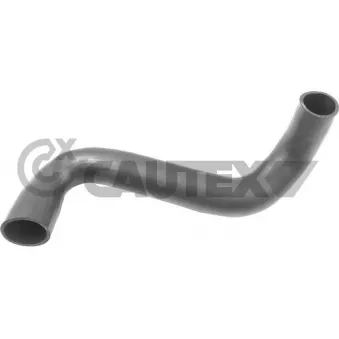 Durite de radiateur CAUTEX 766752
