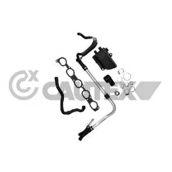 Durite de radiateur CAUTEX 766784
