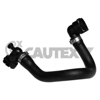 Durite de radiateur CAUTEX 767152