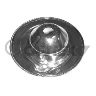 Patin de ressort CAUTEX 767204