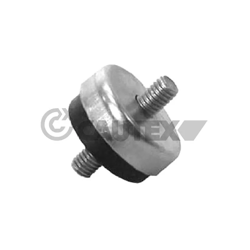 Suspension, radiateur CAUTEX 767216