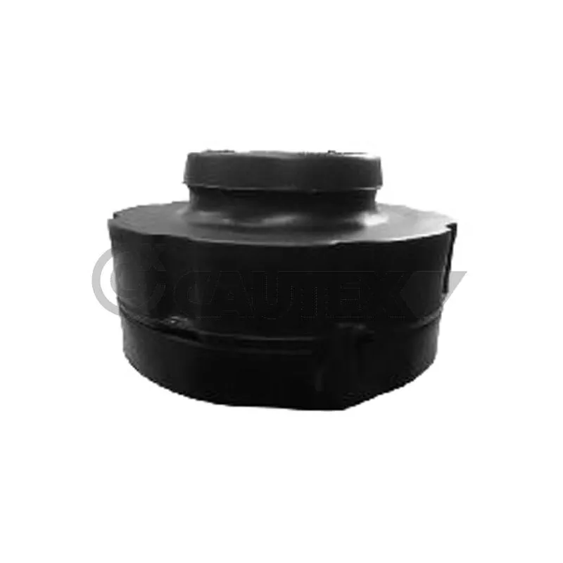 Patin de ressort CAUTEX 767221