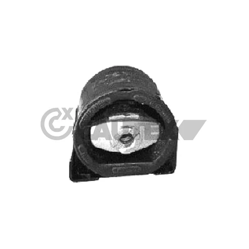 Suspension, boîte automatique CAUTEX 767232