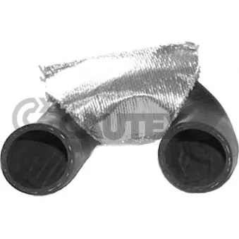Durite de radiateur CAUTEX 767477