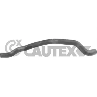 Durite de radiateur CAUTEX 767521
