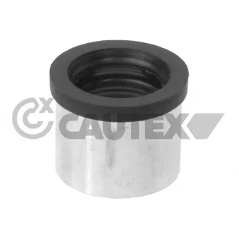Tuyau, ventilation de carter-moteur CAUTEX 767526