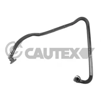 Tuyau, ventilation de carter-moteur CAUTEX 767529