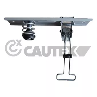 Serrure de capot-moteur CAUTEX 767668