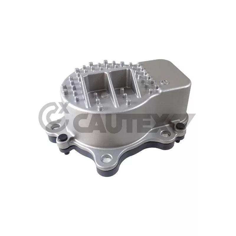 Pompe à eau, refroidissement du moteur CAUTEX 768125