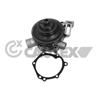 Pompe à eau, refroidissement du moteur CAUTEX 768752