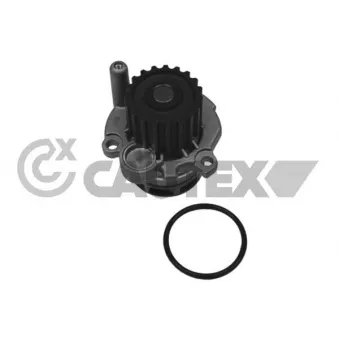 Pompe à eau, refroidissement du moteur CAUTEX 768763