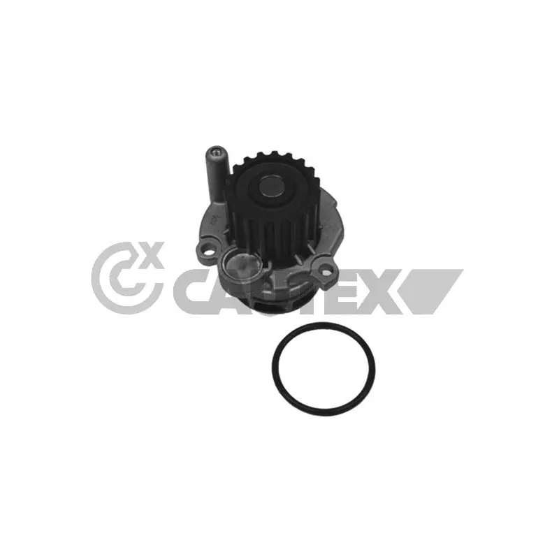 Pompe à eau, refroidissement du moteur CAUTEX 768763
