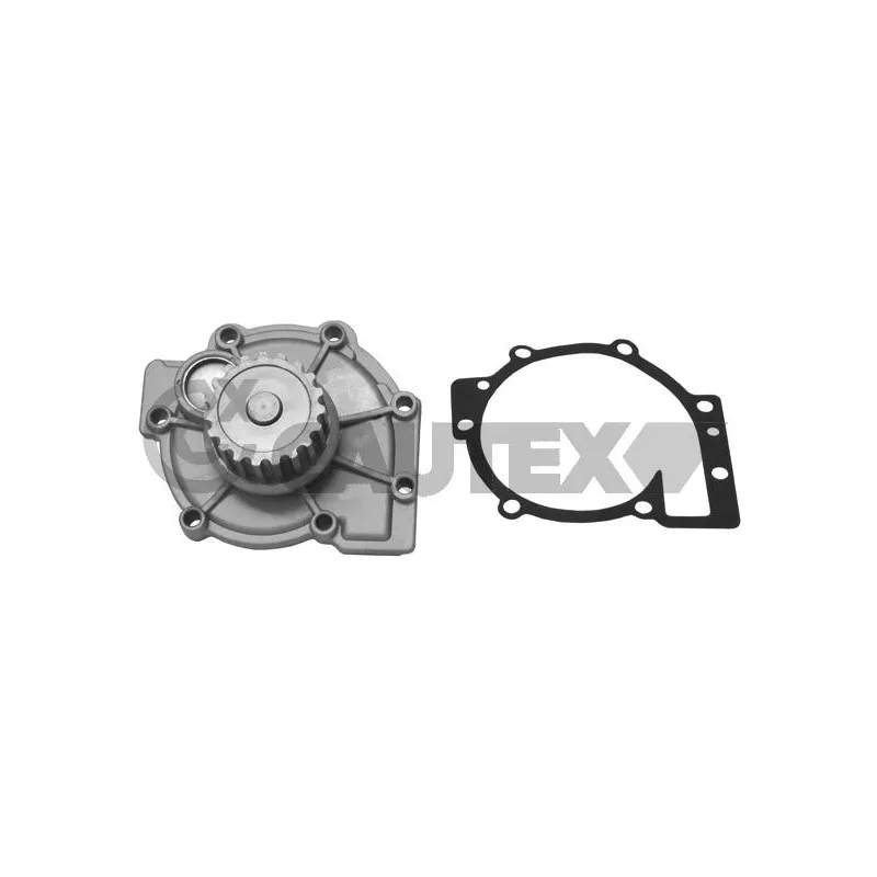 Pompe à eau, refroidissement du moteur CAUTEX 768766