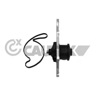 Pompe à eau, refroidissement du moteur CAUTEX 768768