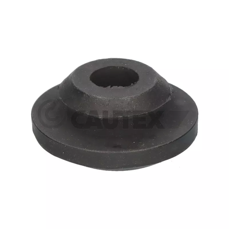 Suspension, radiateur CAUTEX 769069
