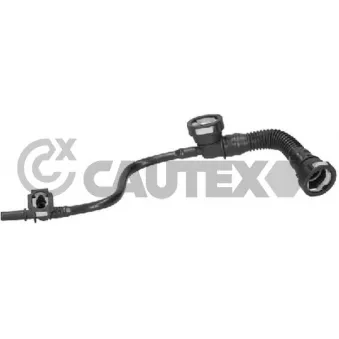 Tuyau, ventilation de carter-moteur CAUTEX 769105