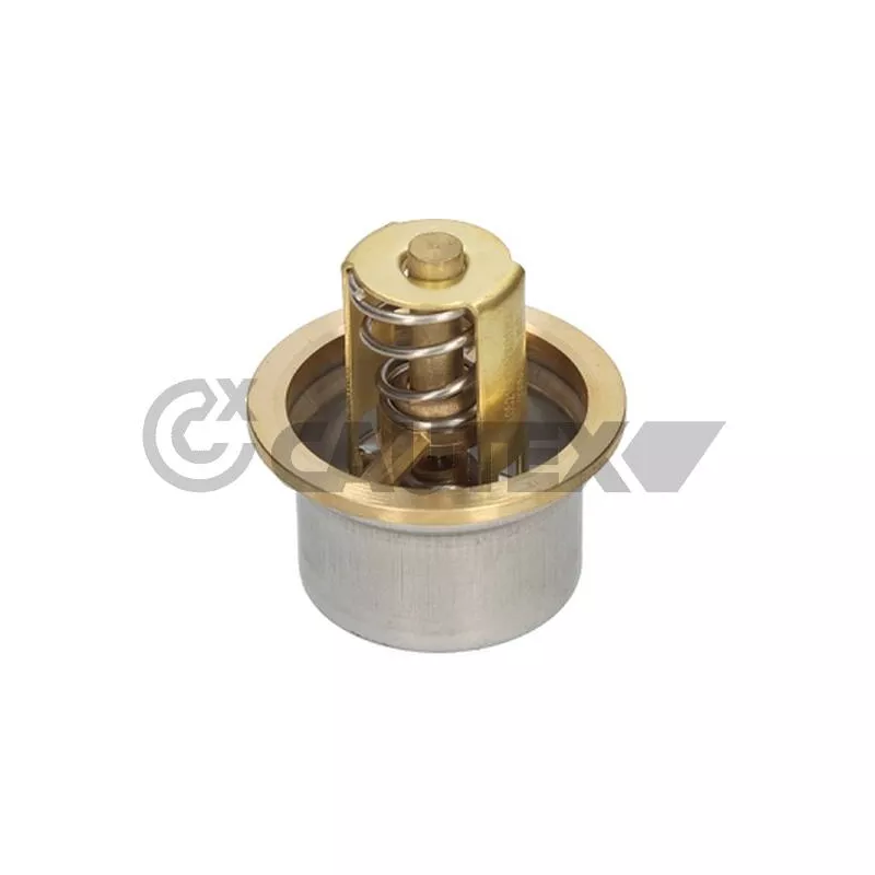 Thermostat, liquide de refroidissement CAUTEX 769136