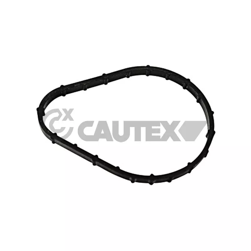 Joint d'étanchéité, thermostat CAUTEX 769250