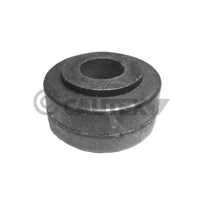 Suspension, Différentiel CAUTEX 769461