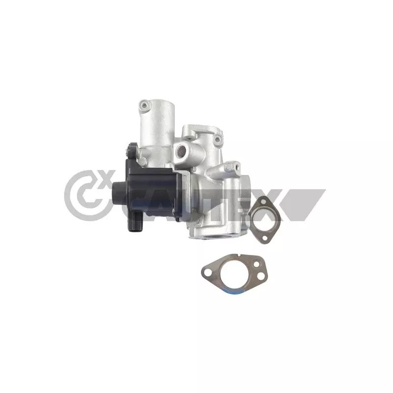 Vanne EGR CAUTEX 769472