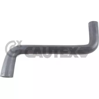 Durite de radiateur CAUTEX 769571