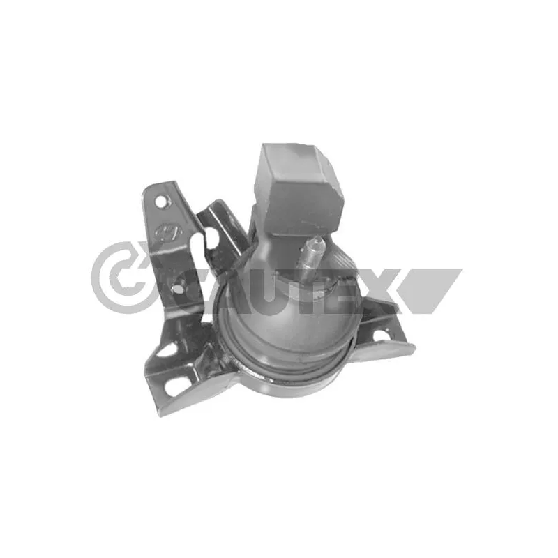 Support moteur CAUTEX 769689