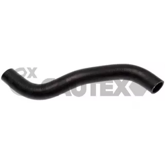 Durite de radiateur CAUTEX 769916