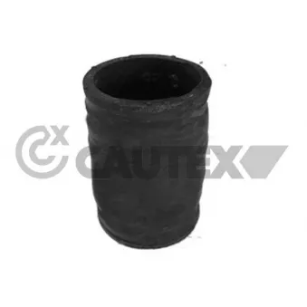 Durite de radiateur CAUTEX 769917