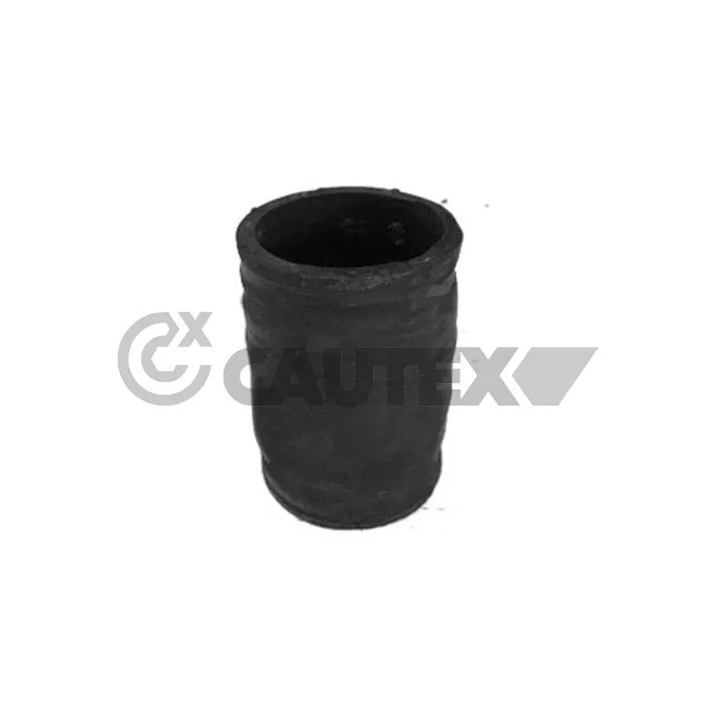 Durite de radiateur CAUTEX 769917
