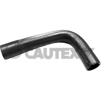 Durite de radiateur CAUTEX 769924