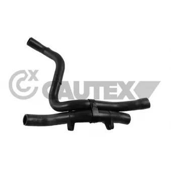 Durite de radiateur CAUTEX 769938