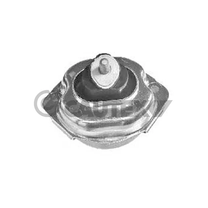 Support moteur CAUTEX 769969