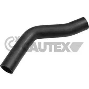 Durite de radiateur CAUTEX 769998