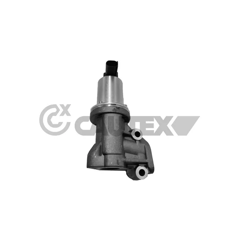 Vanne EGR CAUTEX 770102