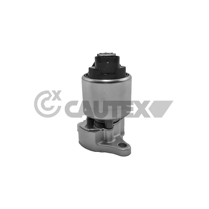 Vanne EGR CAUTEX 770103