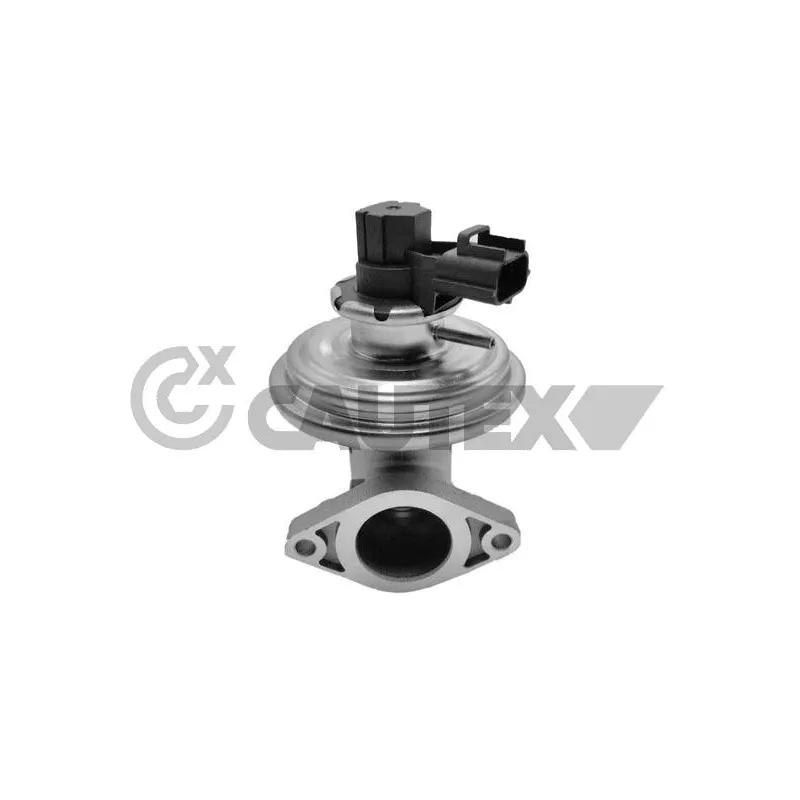 Vanne EGR CAUTEX 770106
