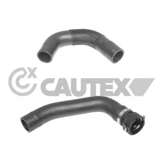 Durite de radiateur CAUTEX 770174