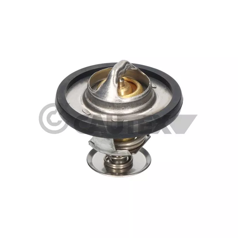 Thermostat, liquide de refroidissement CAUTEX 770190