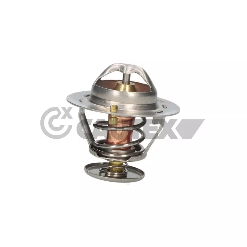 Thermostat, liquide de refroidissement CAUTEX 770192