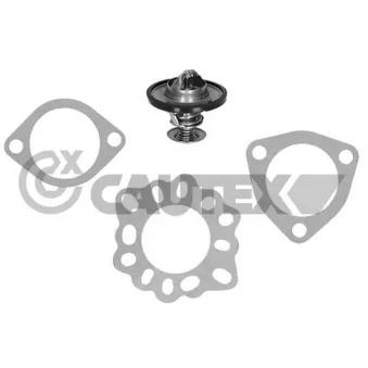 Thermostat, liquide de refroidissement CAUTEX 770193