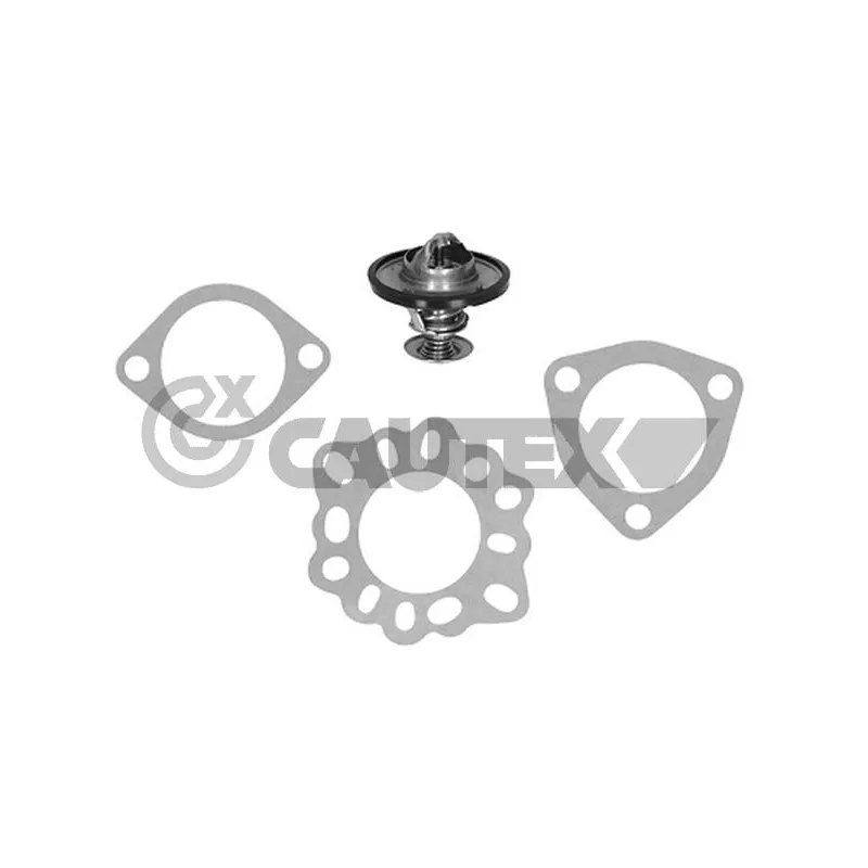 Thermostat, liquide de refroidissement CAUTEX 770193